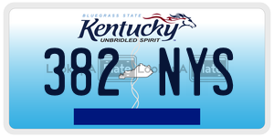 382NYS  license plate in KY