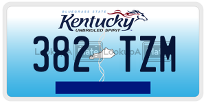 382TZM  license plate in KY