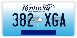 382XGA  license plate in KY