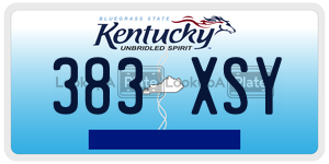 383XSY  license plate in KY