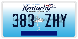 383ZHY  license plate in KY