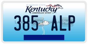 385ALP  license plate in KY