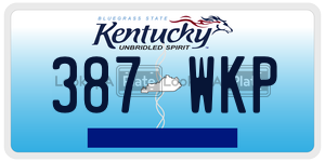 387WKP license plate in Kentucky