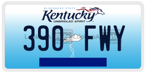 390FWY  license plate in KY