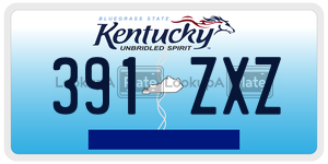 391ZXZ  license plate in KY