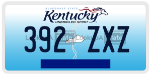 392ZXZ  license plate in KY