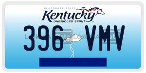 396VMV  license plate in KY