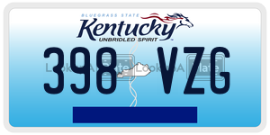 398VZG  license plate in KY