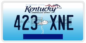 423XNE  license plate in KY