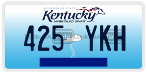 425YKH license plate in Kentucky