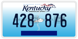 428876  license plate in KY
