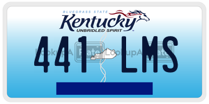 441LMS  license plate in KY