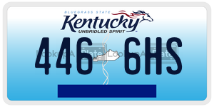 4466HS  license plate in KY