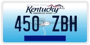 450ZBH  license plate in KY