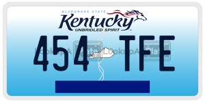 454TFE  license plate in KY