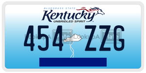 454ZZG  license plate in KY