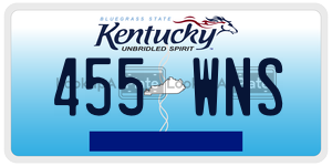 455WNS  license plate in KY