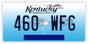 460WFG  license plate in KY