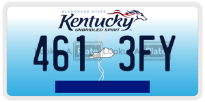 4613FY  license plate in KY