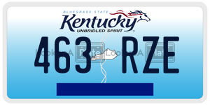 463RZE  license plate in KY