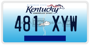 481XYW  license plate in KY