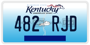 482RJD  license plate in KY