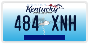 484XNH license plate in Kentucky