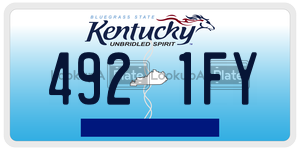 4921FY  license plate in KY