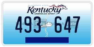 493647  license plate in KY