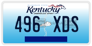 496XDS license plate in Kentucky