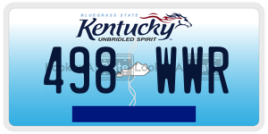 498WWR  license plate in KY