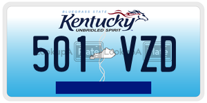 501VZD  license plate in KY