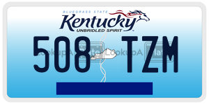 508TZM  license plate in KY