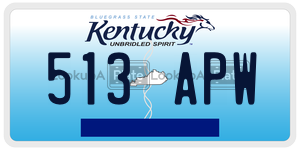 513APW  license plate in KY