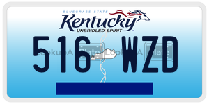 516WZD  license plate in KY