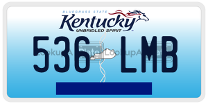 536LMB  license plate in KY