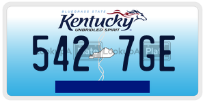 5427GE  license plate in KY