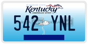 542YNL license plate in Kentucky