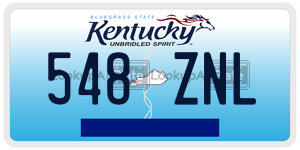 548ZNL  license plate in KY