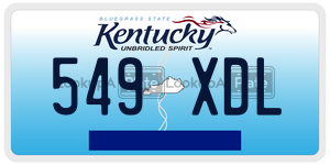 549XDL  license plate in KY