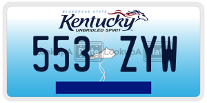 553ZYW  license plate in KY