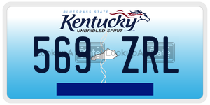 569ZRL  license plate in KY