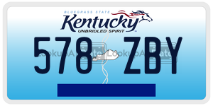 578ZBY  license plate in KY