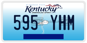 595YHM  license plate in KY