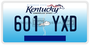 601YXD  license plate in KY