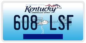 608LSF  license plate in KY