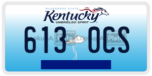 6130CS  license plate in KY