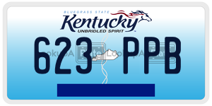 623PPB  license plate in KY