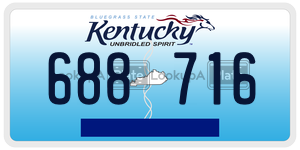 688716  license plate in KY