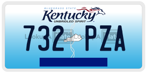 732PZA  license plate in KY